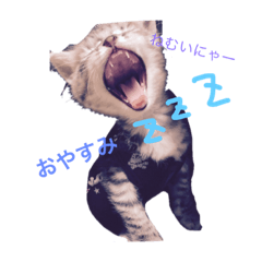 [LINEスタンプ] ふくちゃんのすたんぷ