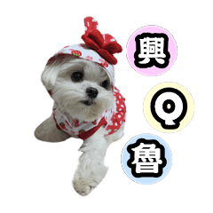 [LINEスタンプ] HAPPY QQ RU