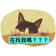 [LINEスタンプ] so cute so cuteの画像（メイン）