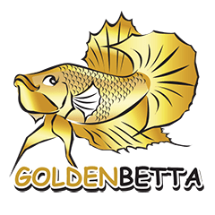 [LINEスタンプ] GOLDENBETTA