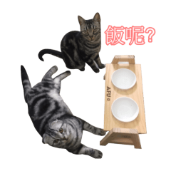 [LINEスタンプ] QQ＆DiDiの画像（メイン）