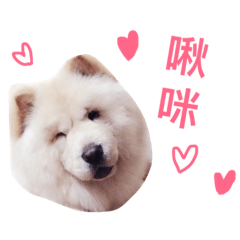 [LINEスタンプ] chowchow leebai