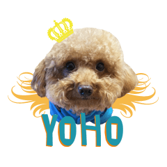 [LINEスタンプ] yoho woof again