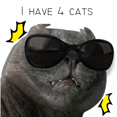 [LINEスタンプ] I have 4 cats