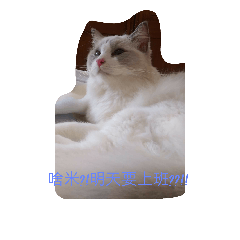 [LINEスタンプ] Love Ragdoll Catの画像（メイン）