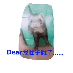 [LINEスタンプ] Ferrets Luck 2