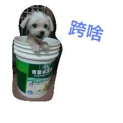 [LINEスタンプ] my puppy named puddingの画像（メイン）