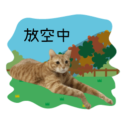 [LINEスタンプ] orange cat so funny