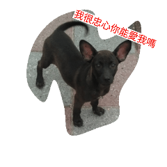 [LINEスタンプ] Dog doy