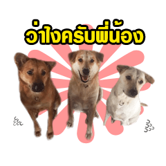 [LINEスタンプ] the dog lovers