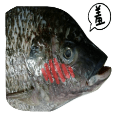 [LINEスタンプ] Dinner eat fish