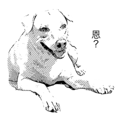 [LINEスタンプ] my home house dog