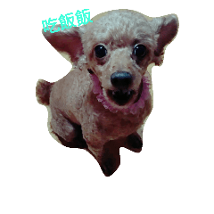 [LINEスタンプ] Jingle dog