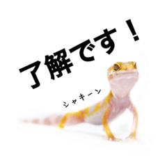 [LINEスタンプ] みんなのレオパ