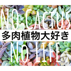 [LINEスタンプ] 多肉植物の言葉(日本語と英語)