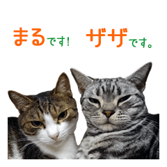 [LINEスタンプ] ザザとまるPART1