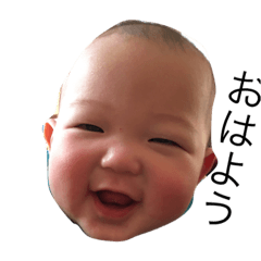 [LINEスタンプ] 薄毛のおうちゃん