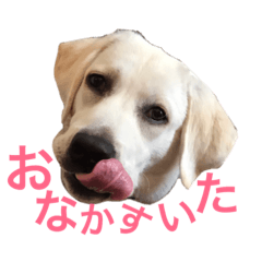 [LINEスタンプ] まいにちとき