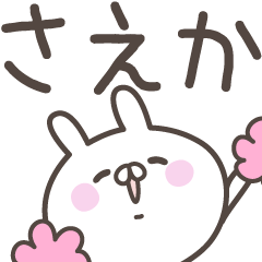 [LINEスタンプ] ☆★さえか★☆ベーシックパック