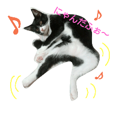 [LINEスタンプ] 我が家のモーたん