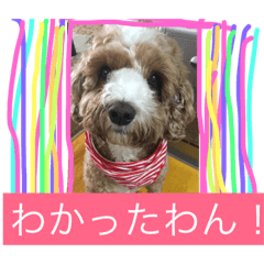 [LINEスタンプ] りゅうたん❷