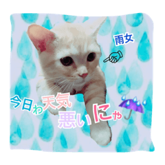 [LINEスタンプ] みんみとみかん