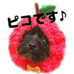 [LINEスタンプ] 甘えん坊犬