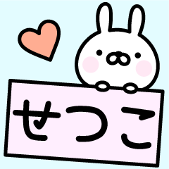 [LINEスタンプ] ＊せつこ＊お名前スタンプ